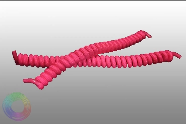 Rózsaszín Spirál gumi cipőfűző Rózsaszín Spirál gumi cipőfűző